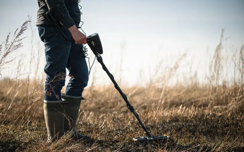 A person metal detecting in a field. 