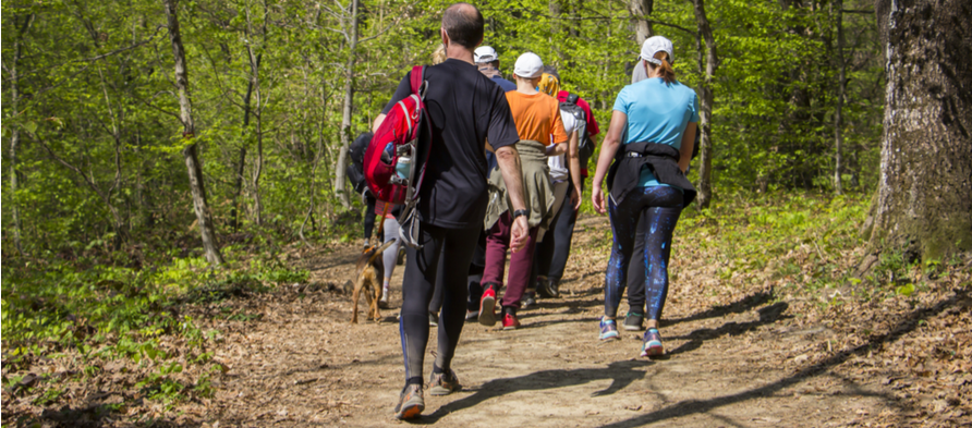 Group of walkers on a woodland trail