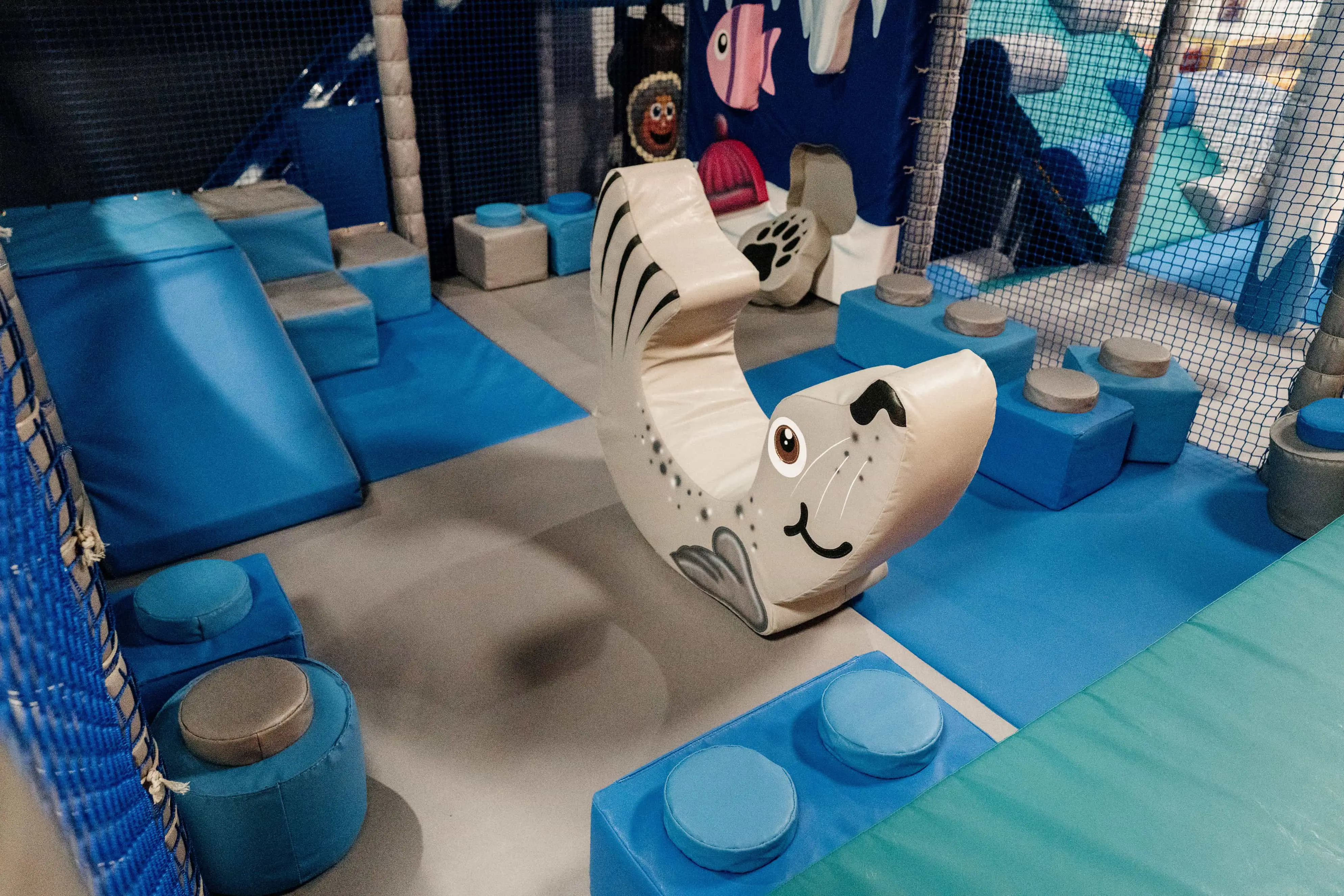 Soft play seal in soft play area