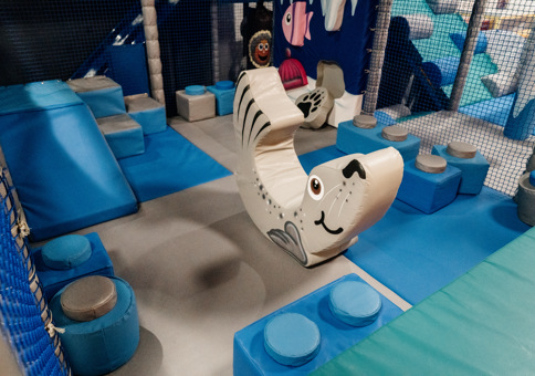 Soft play seal in soft play area