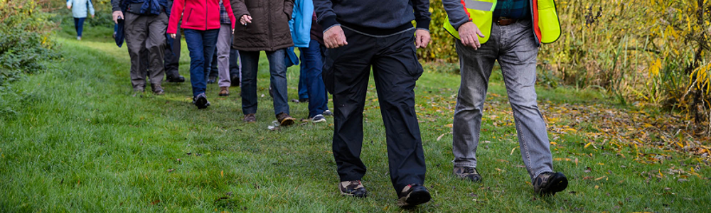 Group of walkers in countryside