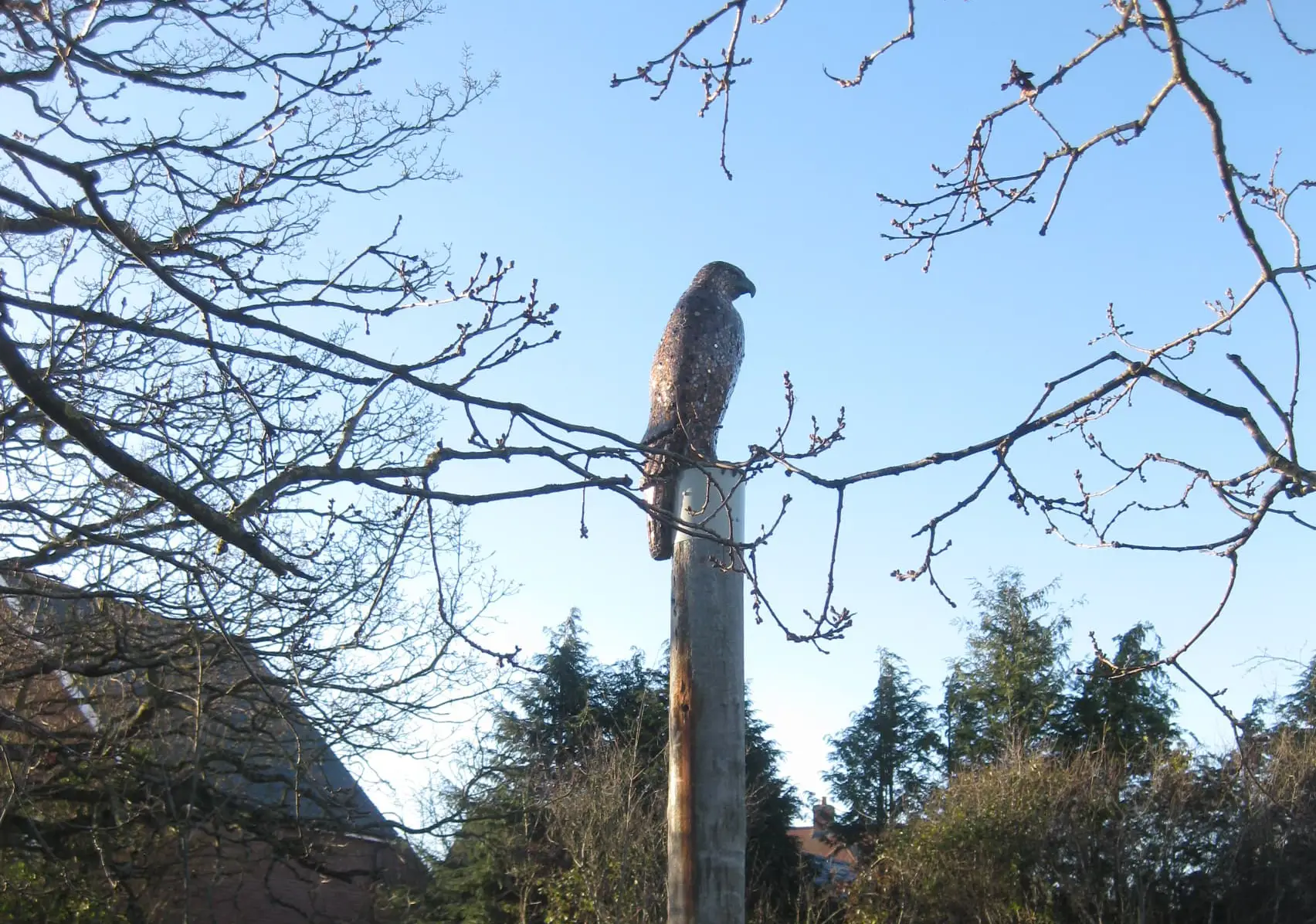 Tall timber post with sculpture of buzzard perched on top
