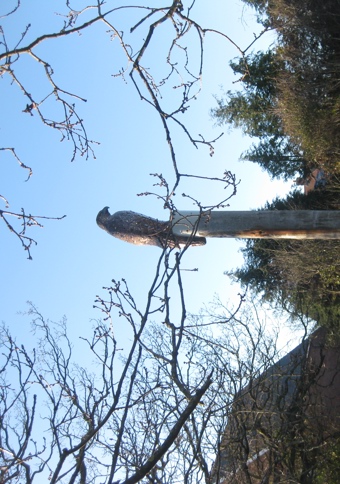 Tall timber post with sculpture of buzzard perched on top