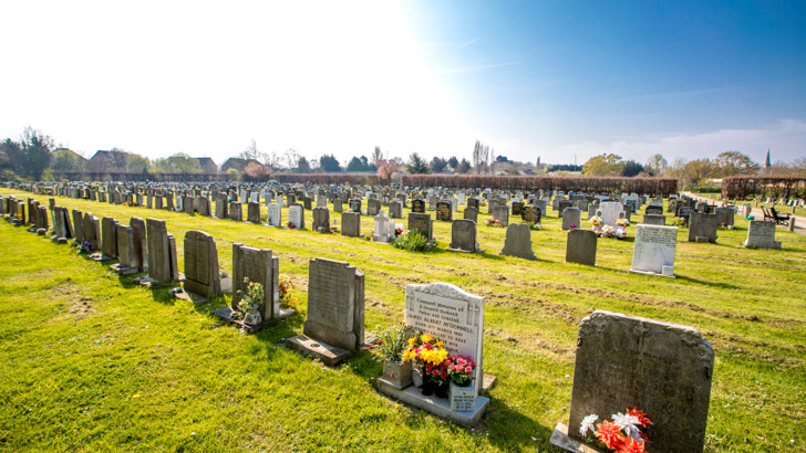 Rows of gravestones in cemetery