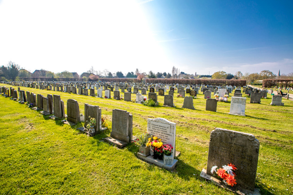 Rows of gravestones in cemetery