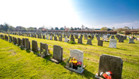 Rows of gravestones in cemetery preview