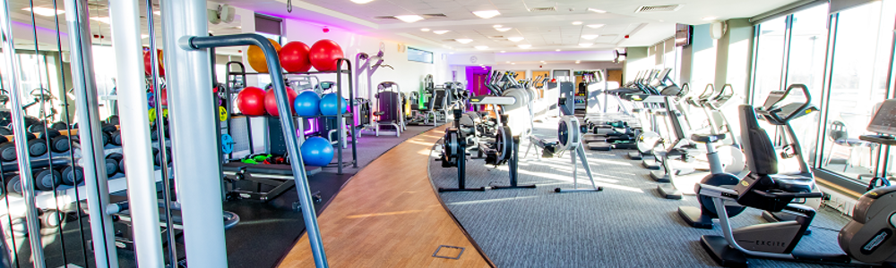 Well-equiped gym with cario and weight machines and other equipment