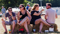 Two couples sitting on hay bales preview