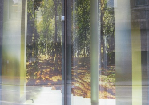 Lightbox consisting of an illusory architecturally framed inlet into a woodland scene