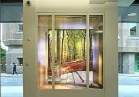 Lightbox consisting of an illusory architecturally framed inlet into a woodland scene