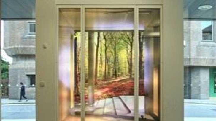 Lighbox consisting of an illusory archirecturally framed inlet into a woodland scene