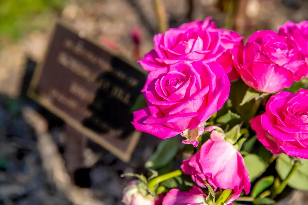 Small plaque with bunch of pink roses beside it