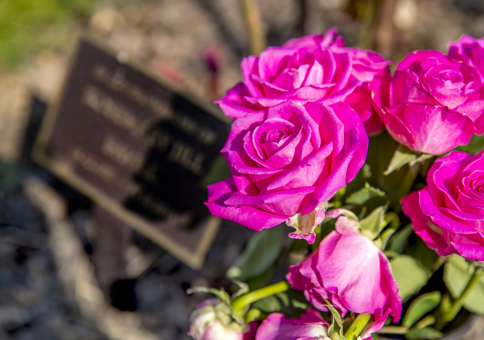 Small plaque with bunch of pink roses beside it