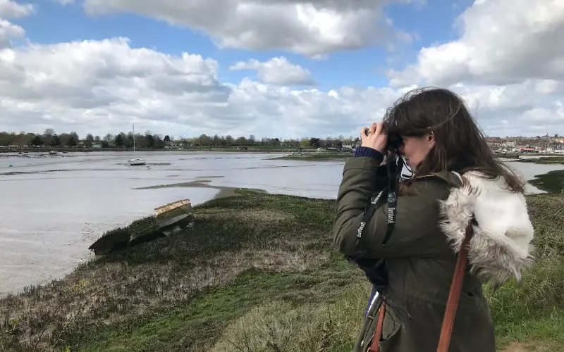 Curators Blog Restless Brilliance 6