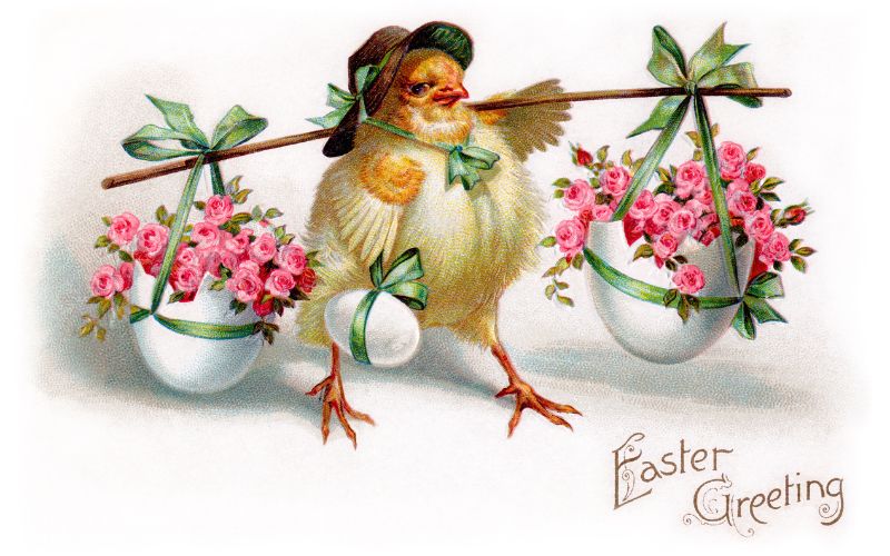 A vintage drawing of a chick in a hat carrying flowers in egg shells.