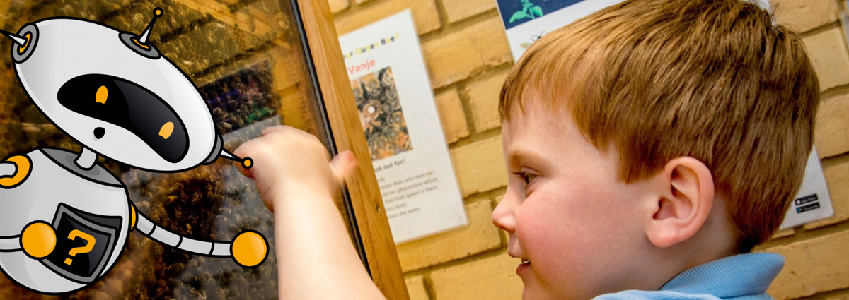 Child playing with beehive