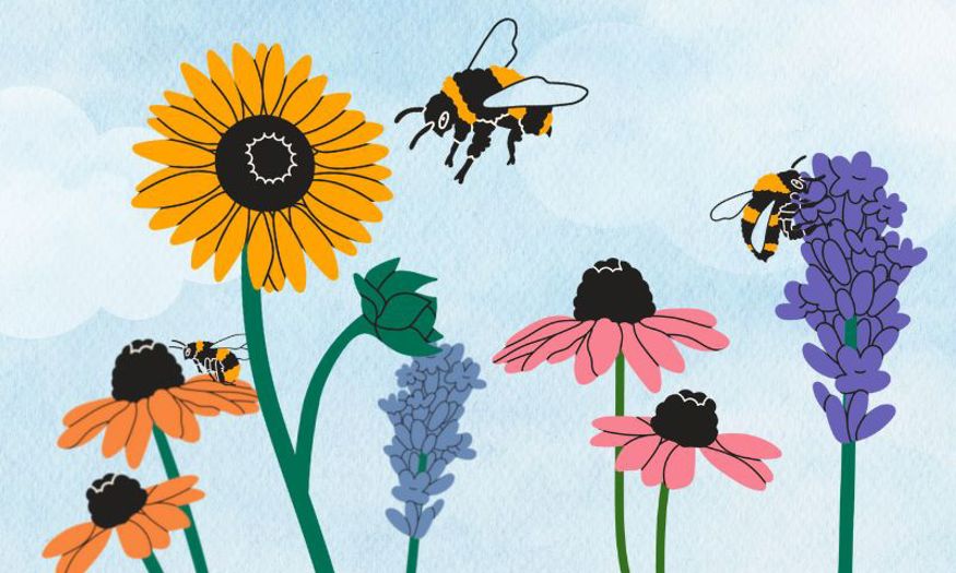 Colourful illustrated flowers with bees. 