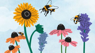 Colourful illustrated flowers with bees. 