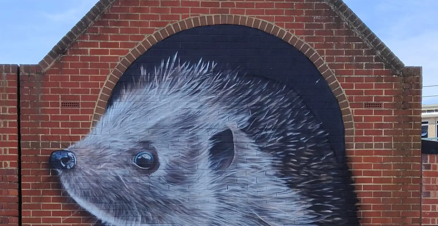 Large mural on brick wall depicting a hedgehog