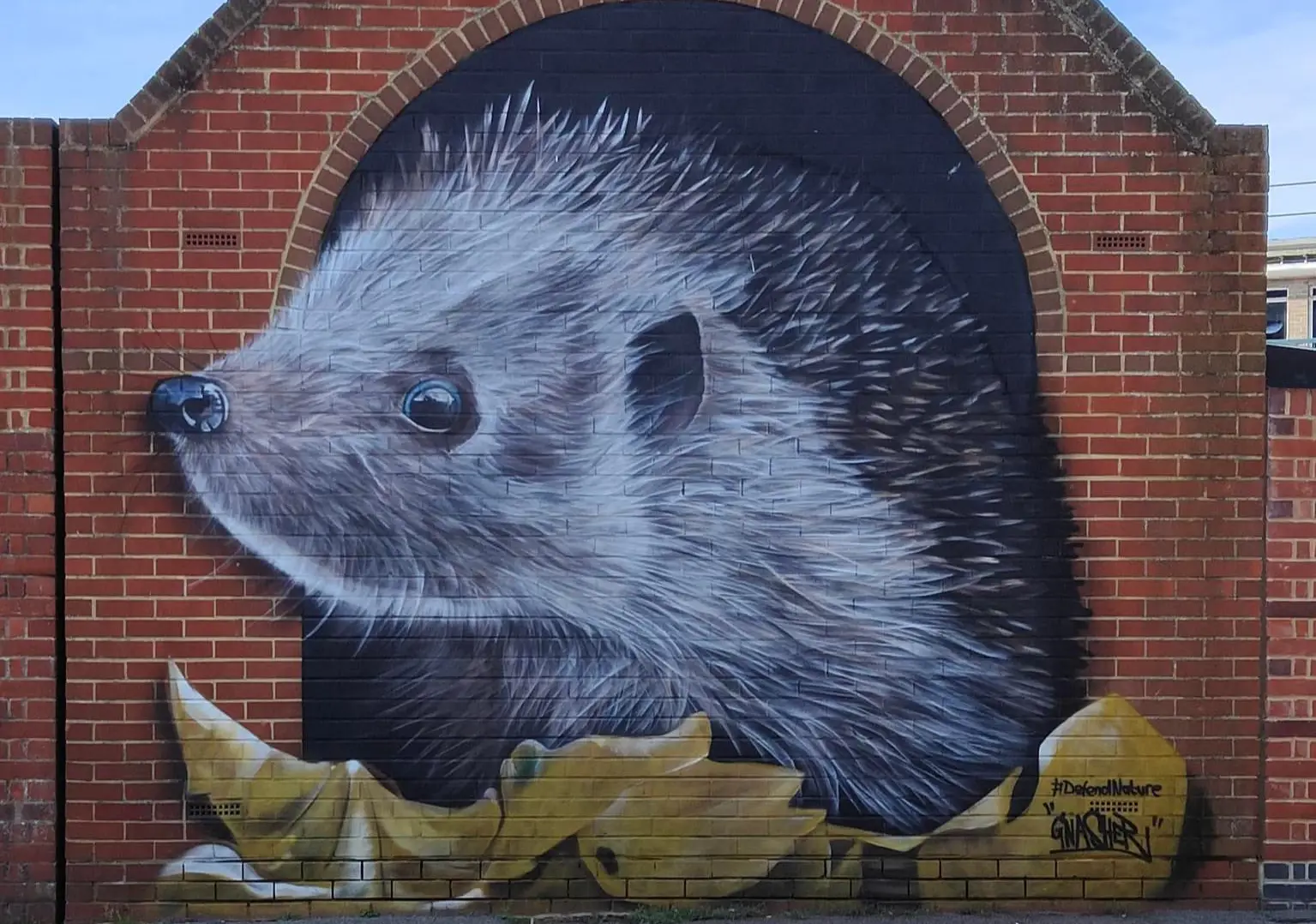 Large mural on brick wall depicting a hedgehog