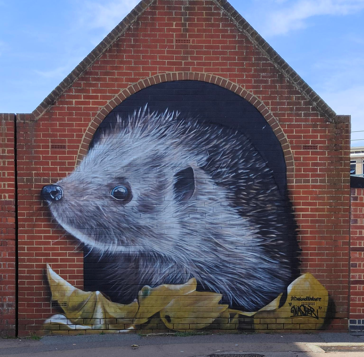 Large mural on brick wall depicting a hedgehog