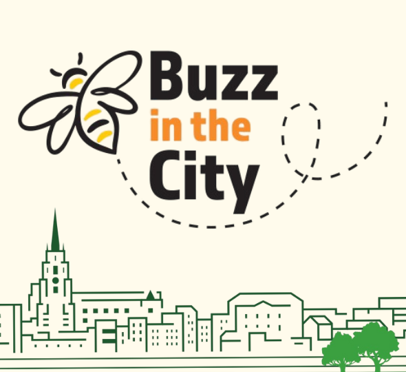 Buzz in the City