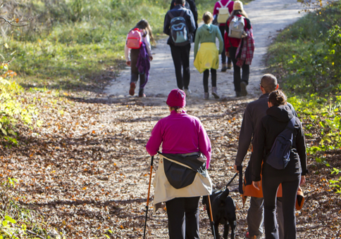 Group of people walking along partially wooded trail
