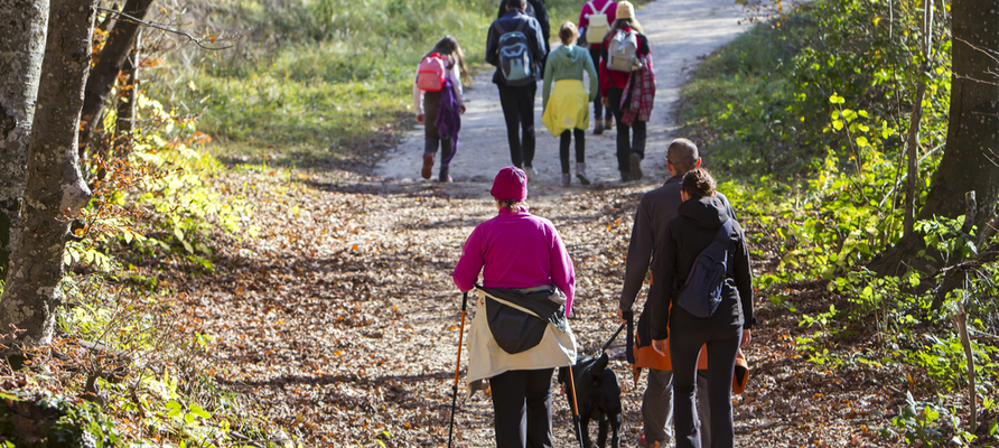 Group of people walking along partially wooded trail