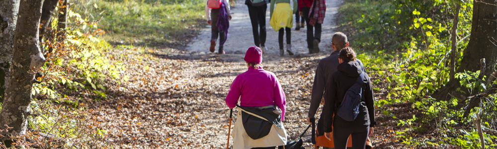 Group of people walking along partially wooded trail