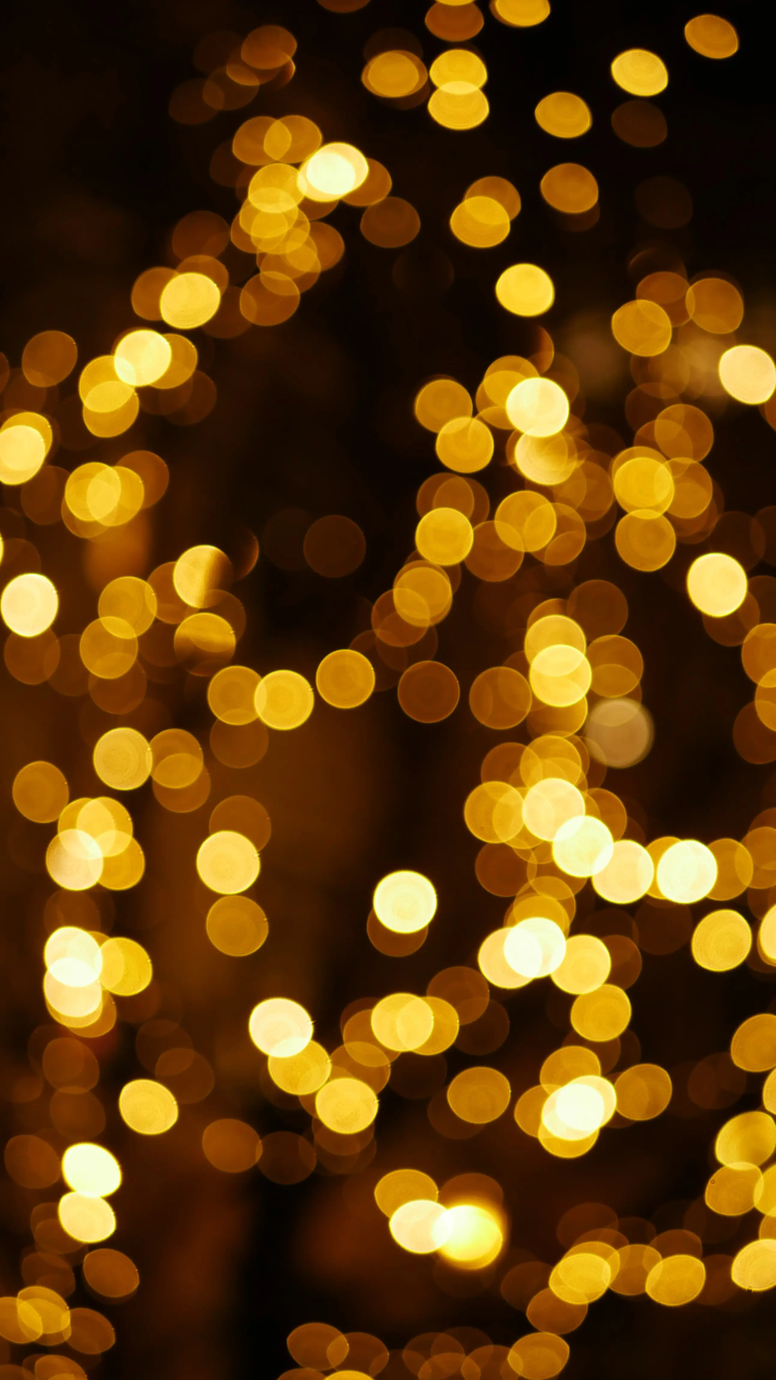 Golden Christmas lights with bokeh effect (Photo by Karine Germain)