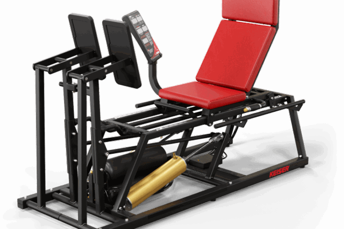 A300 Leg Press