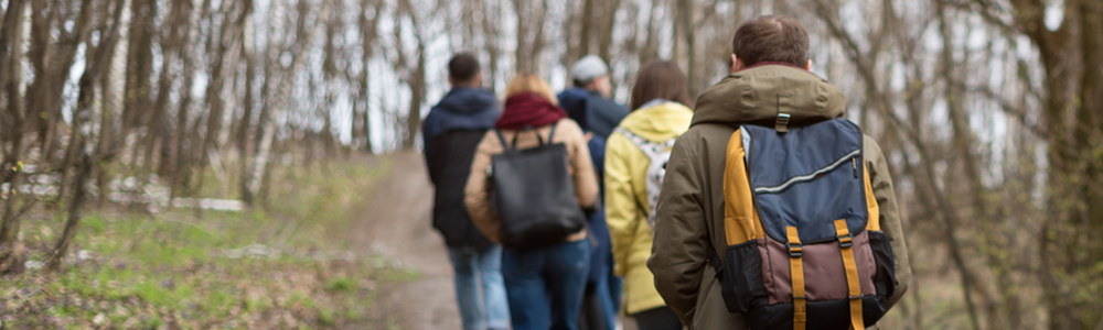 Group of people walking along woodland trail