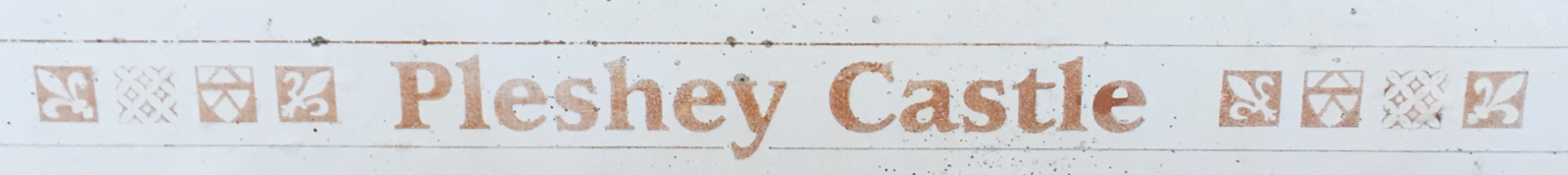Pleshey Castle text with Fleur-de-lis and other motifs