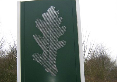 Sculpture of an oak leaf on a green background