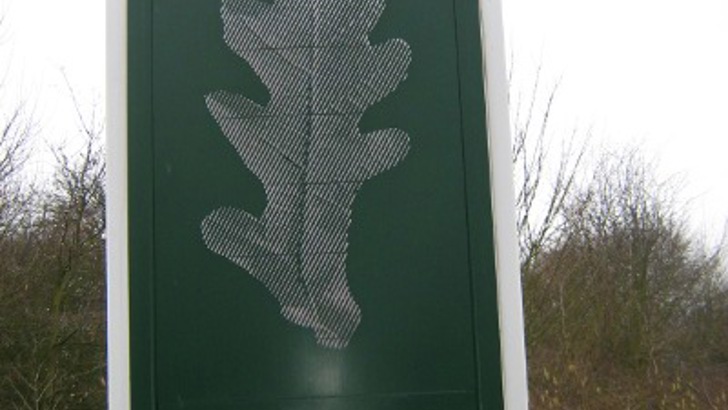 Sculpture of an oak leaf on a green background