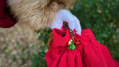 Father Christmas's hand holding on to a red sack with bells on it. 