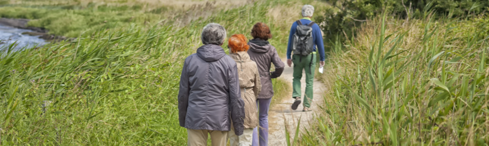 Man leading walkers along riverside walk