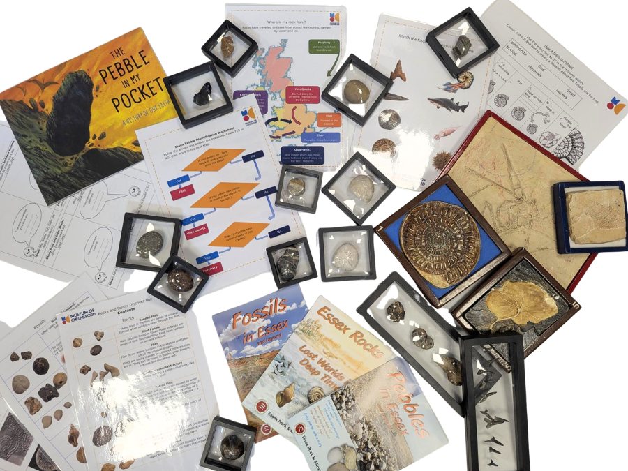Rocks and fossils, pamphlets from Essex Rocks, and worksheets