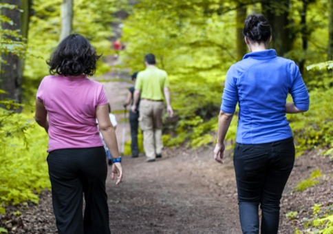 Group walking along trail through woodland