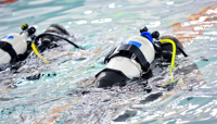 Scuba divers underwater in swimming pool preview