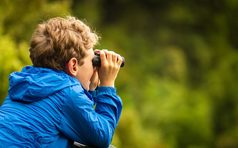 A young boy wearing a bright blue jacket looks through binoculars off into the trees in the distance. 