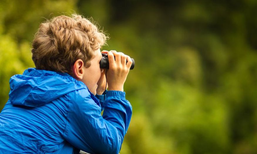 A young boy wearing a bright blue jacket looks through binoculars off into the trees in the distance. 