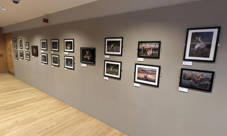 Gallery Wall exhibition featuring Tyson Wright photography